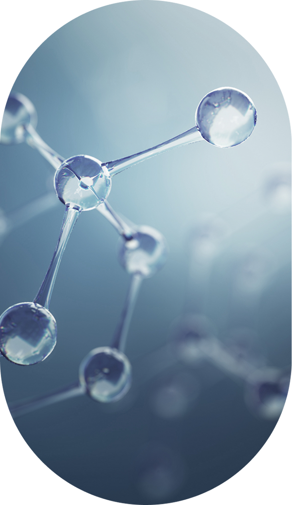 Bio-Fermented Peptides
