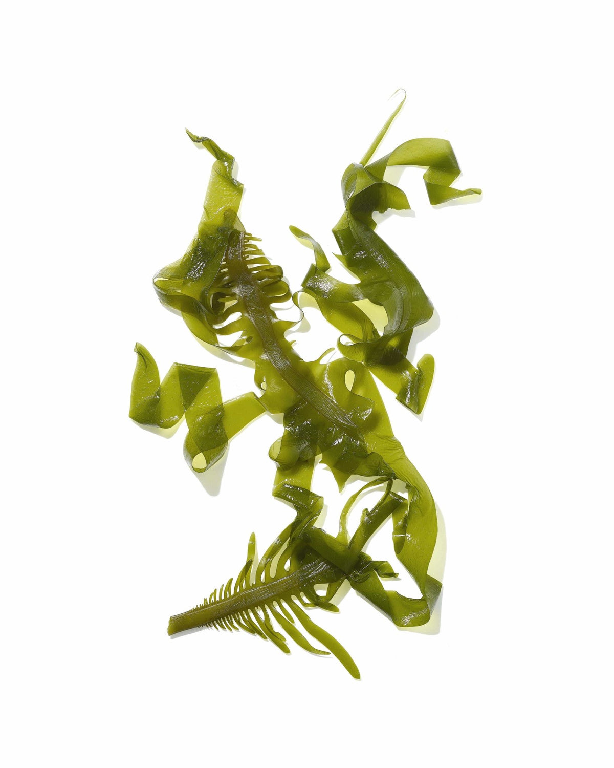 Mekabu Hydrating Travel Shampoo &amp; Conditioner by Masami