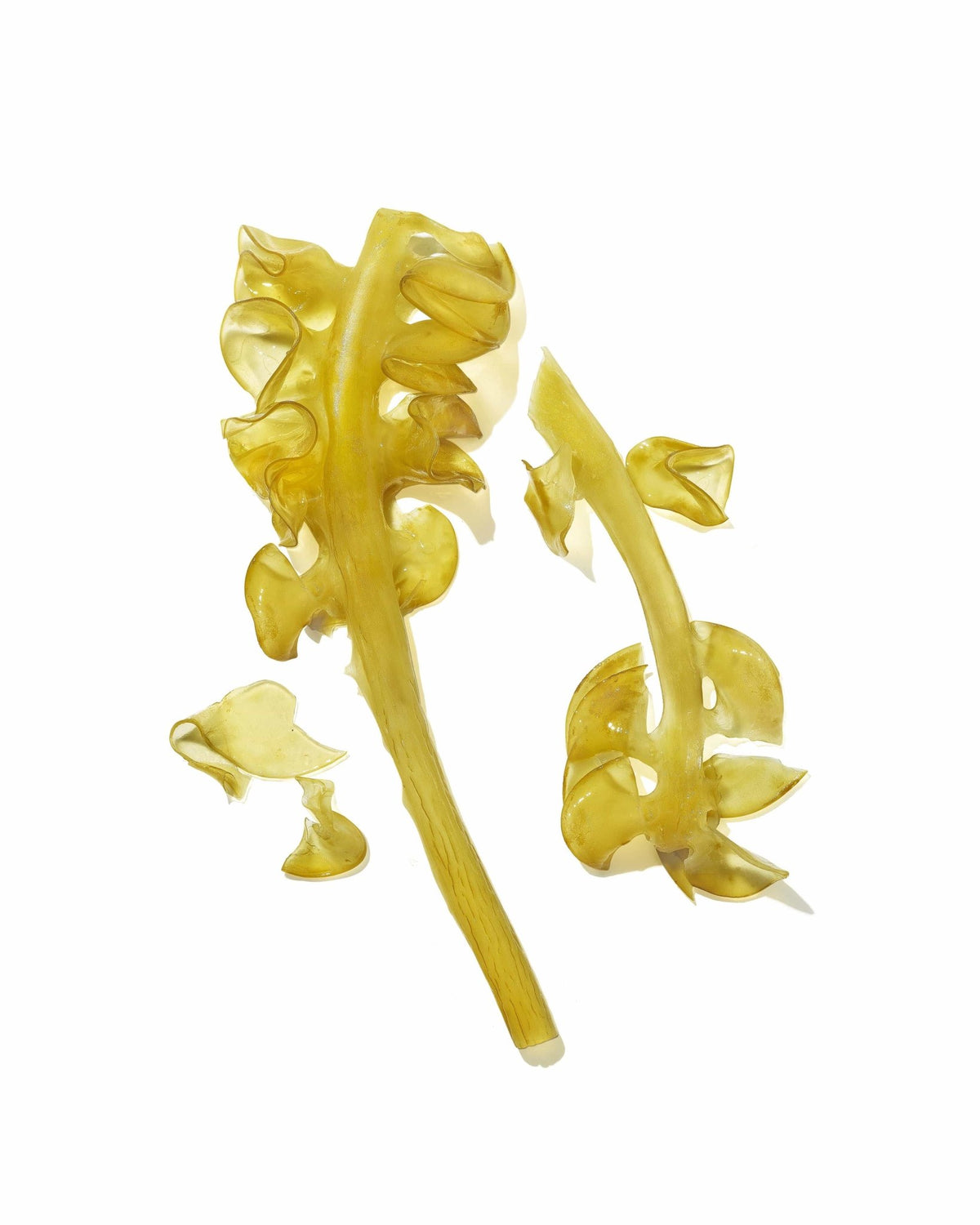 Mekabu Hydrating Travel Shine Serum by Masami